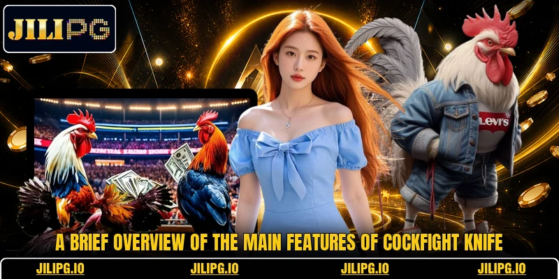 A brief overview of the main features of Cockfight Knife A brief overview of the main features of Cockfight Knife