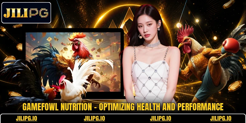 Gamefowl Nutrition - Optimizing Health And Performance