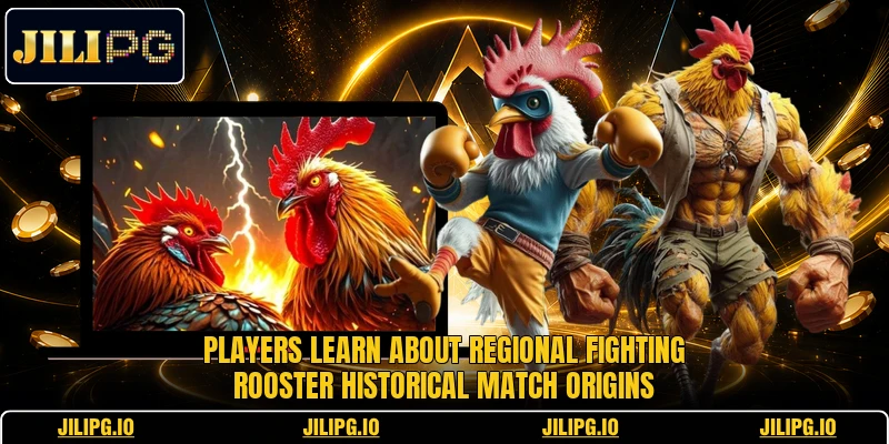 Players learn about regional Fighting Rooster historical match origins Players learn about regional Fighting Rooster historical match origins